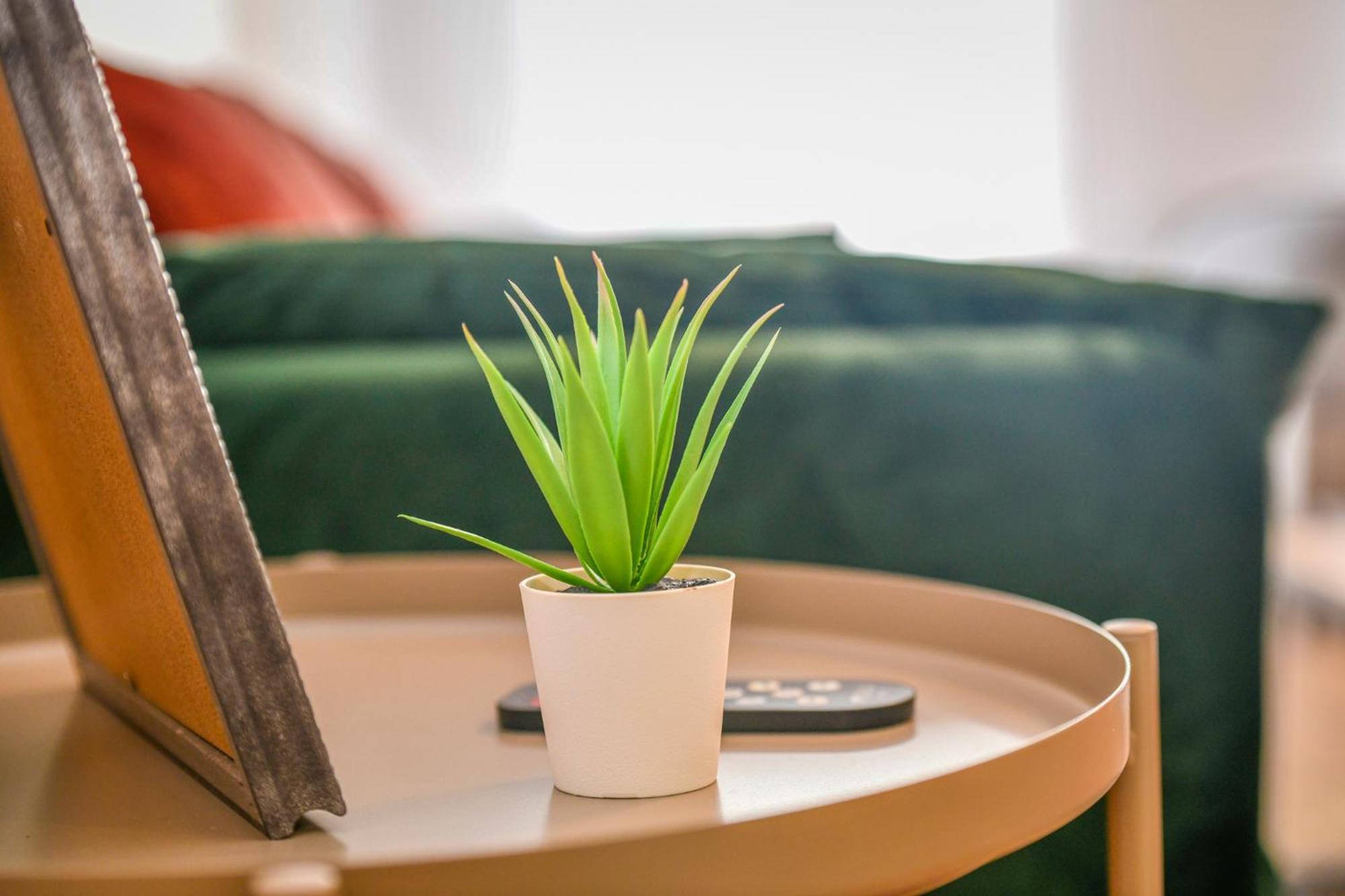 Studio Magda - Fibre Et Tv - Calme Et Confortable Saint-Quentin  Luaran gambar